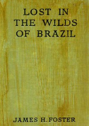 [Gutenberg 43266] • Lost in the Wilds of Brazil